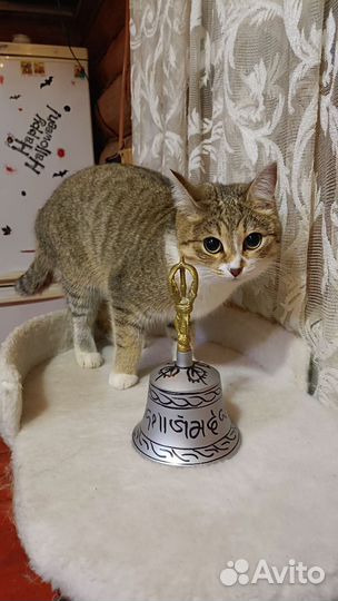 Колокол тибетский бронза