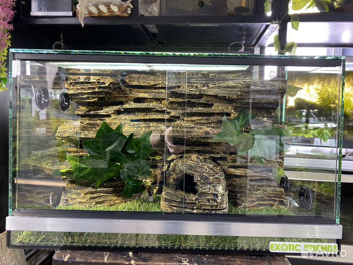 Террариум на заказ