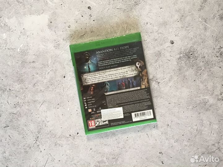 Little Hope (Xbox One/Series X)