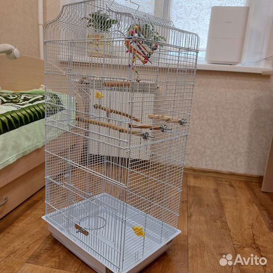 Клетка большая