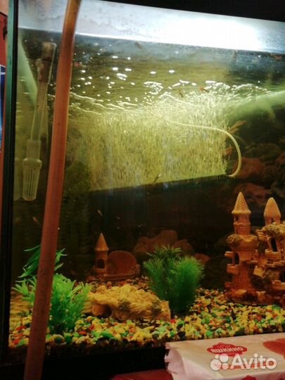 Аквариум 300л