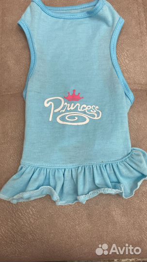 Одежда для кошек и собак