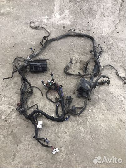 Проводка моторного отсека Nissan Presage U30