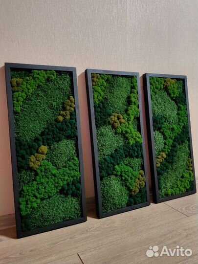 Зелёные картины, панно из мха
