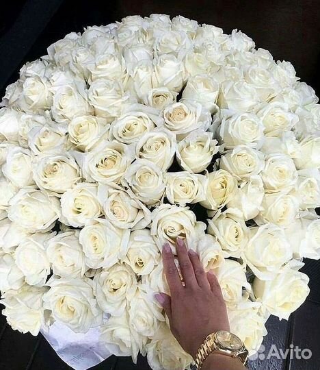 Розы Букеты Цветы Розы 31 101 151 201 Доставка