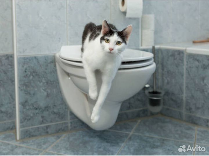 Монтаж И установка сантехники