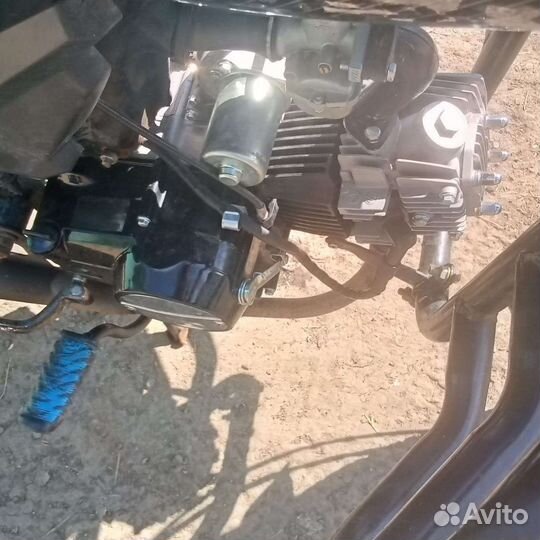 Альфа скорпион