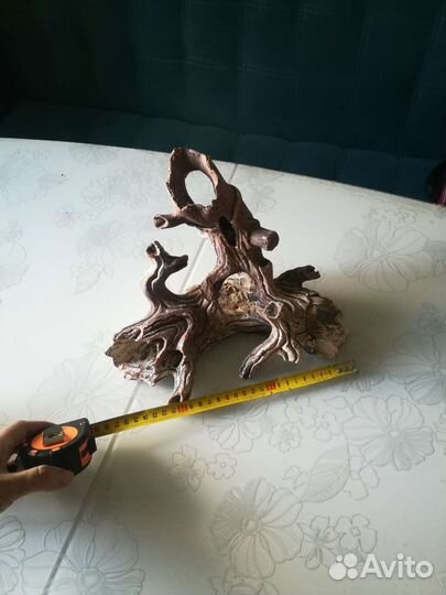 Грот большой, коряга