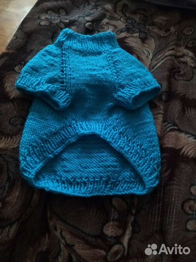 Вязанная одежда для животных