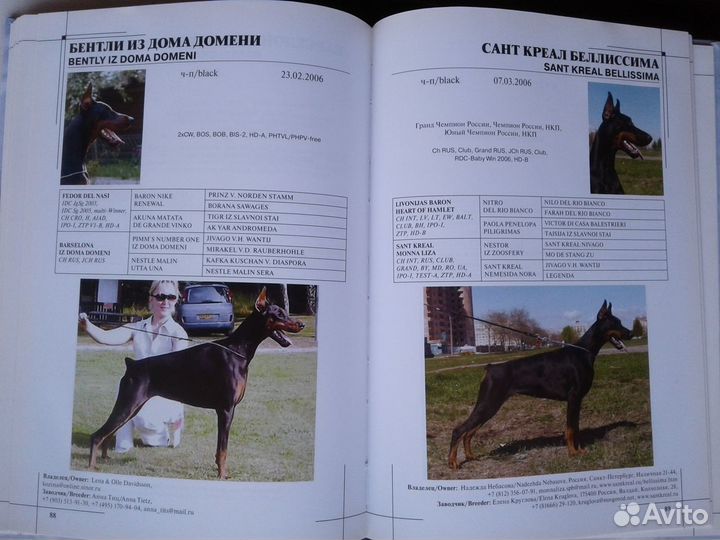 Собаки,кошки