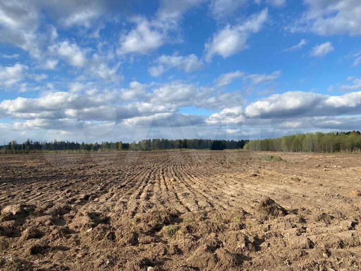 Участок 7,5 га (СНТ, ДНП)