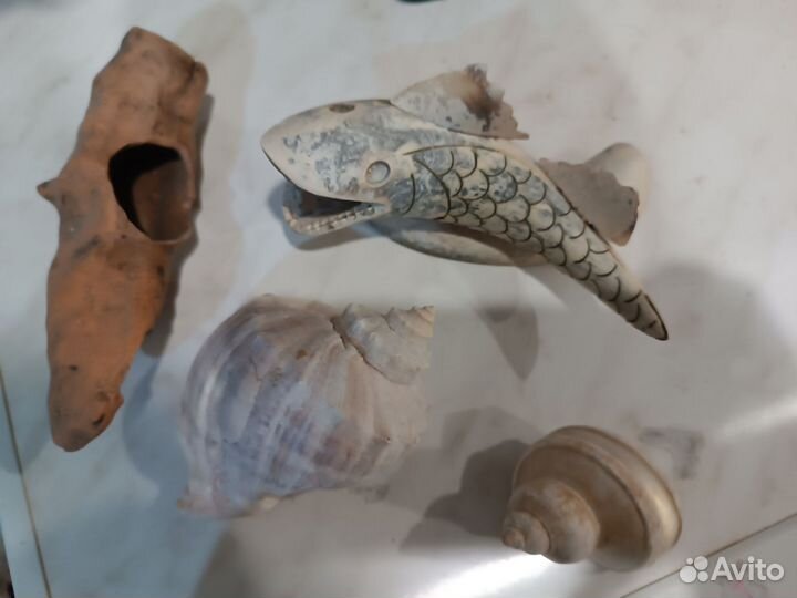 Для аквариума