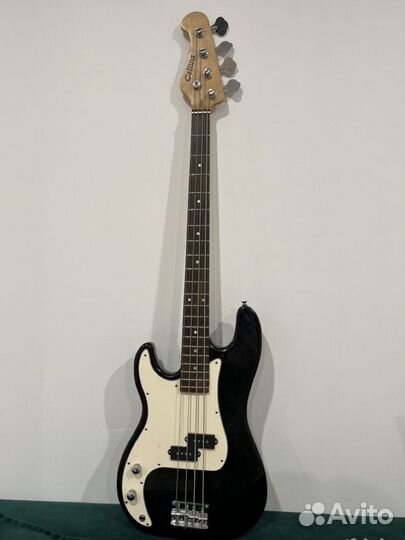 Collins Masterbass PB100P