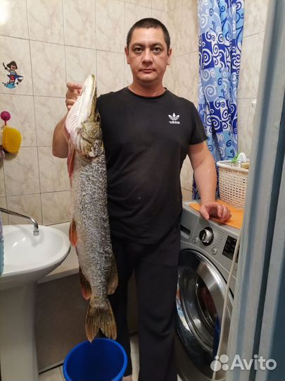 Водитель.В,С. Сваршик, или старший Мастер