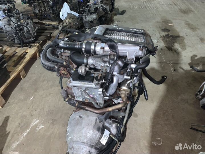 Nissan terrano двигатель ZD30