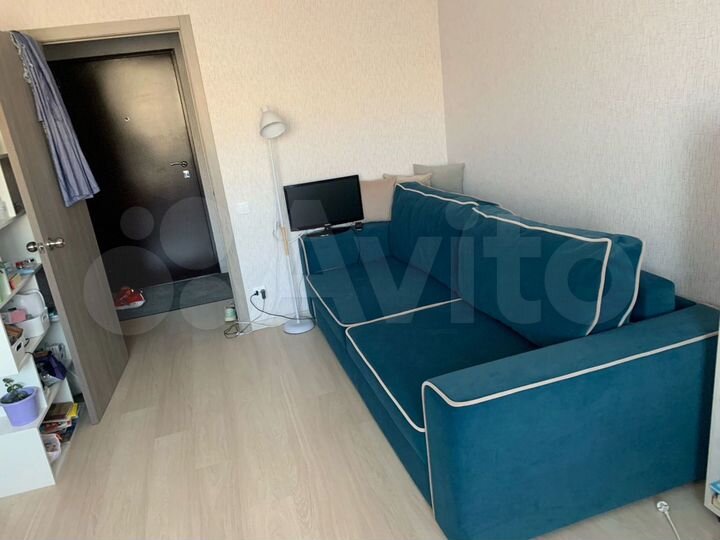 Квартира-студия, 23,7 м², 8/10 эт.