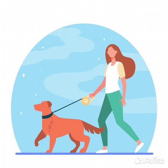 Выгул собак