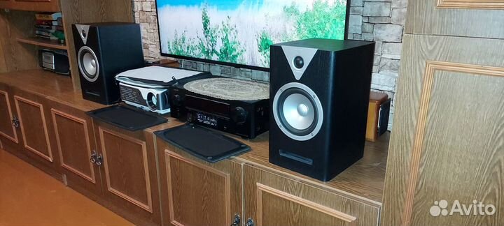 Полочные колонки Vector HX210