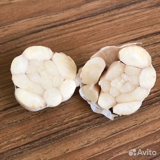 Чеснок яровой