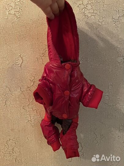 Одежда для маленьких собак