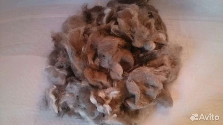 Собачья шерсть