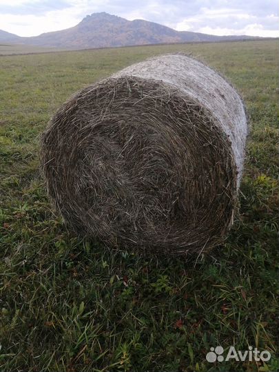 Продам сено, салому