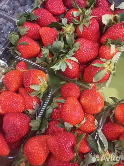 Клубника в шоколаде