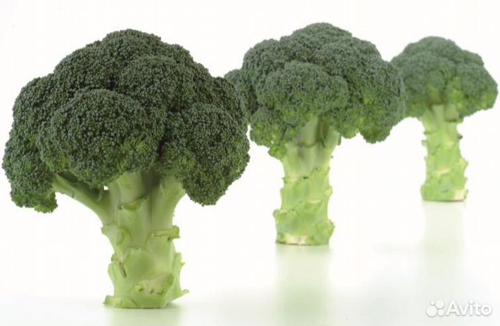 Семена Брокколи 
