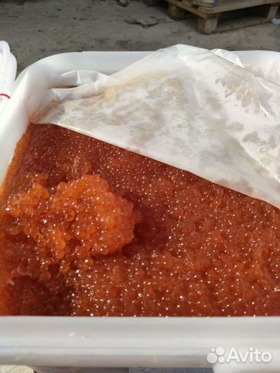 Продам красную икру кеты