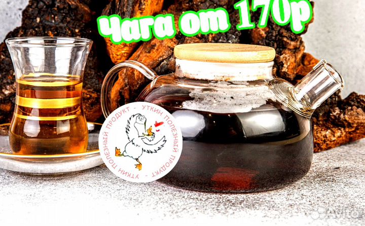 Чага молотая сушеная / Продаем и Принимаем