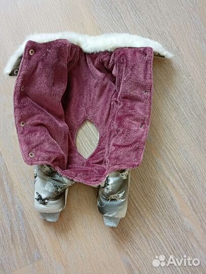 Одежда для собак мелких пород