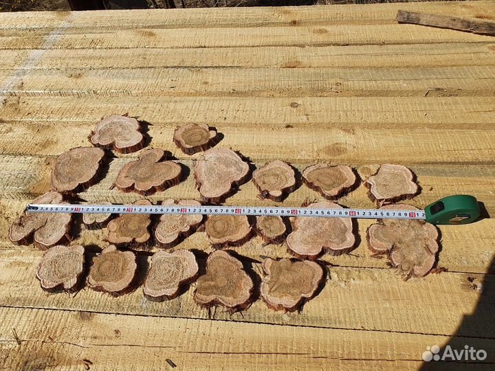 Спилы дерева