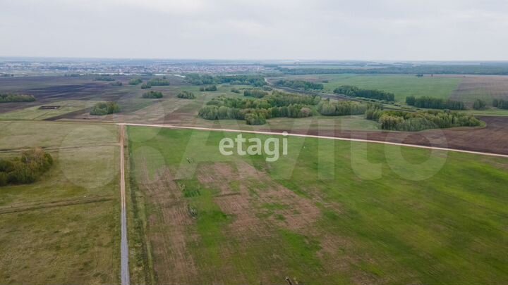 Участок 19,9 сот. (СНТ, ДНП)