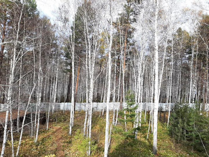 Дача 85 м² на участке 14 сот.