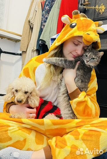 Выгул собак, зооняня, ситтер