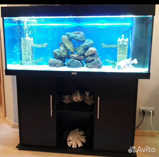 Аквариум с тумбой Juwel Rio на 240 литров