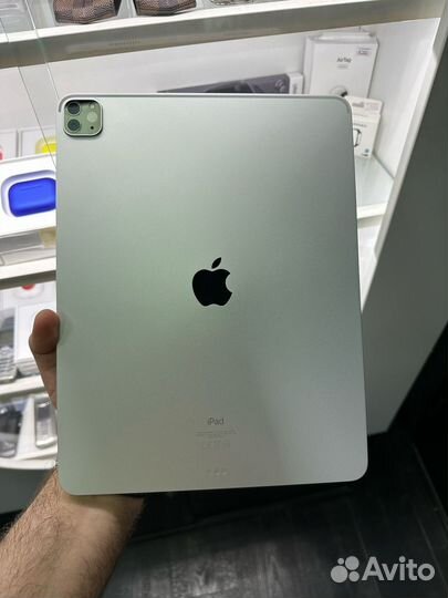 iPad pro 12.9 2021 256gb wifi
