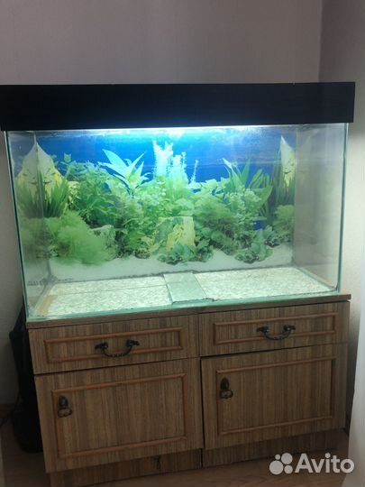 Аквариум для рыбок бу