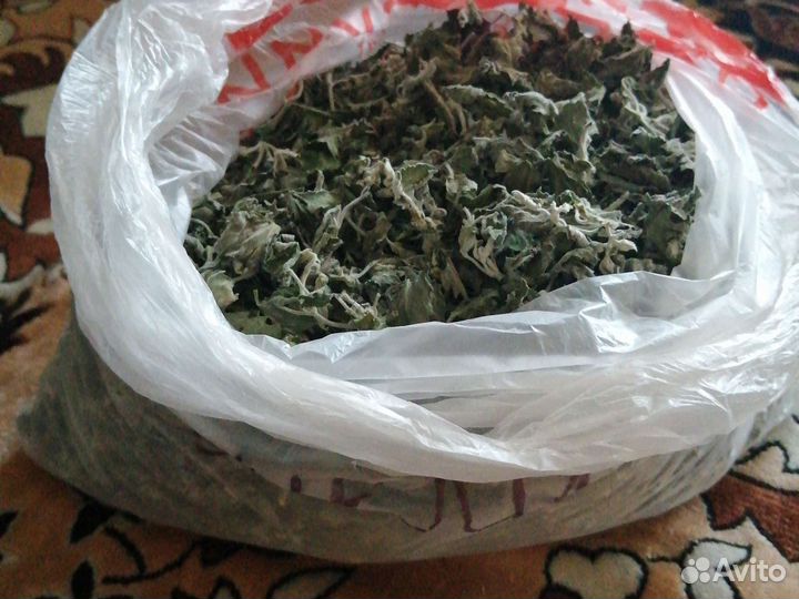 Мелисса и базилик