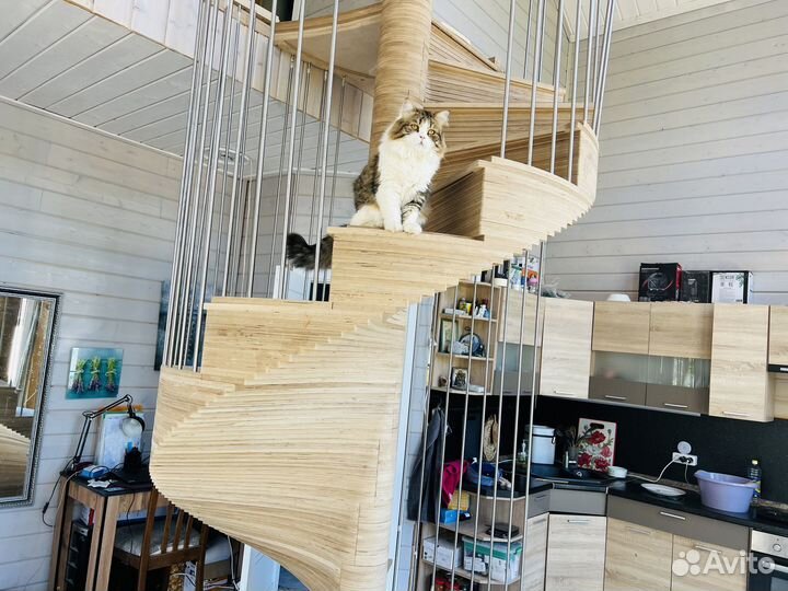 Лестница в дом, до 9 метров в высоту