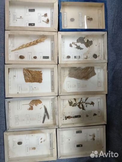 Пособия по зоологии