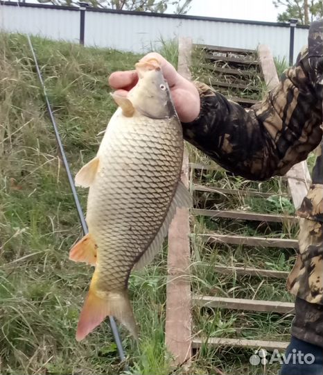 Платная рыбалка в Уфе