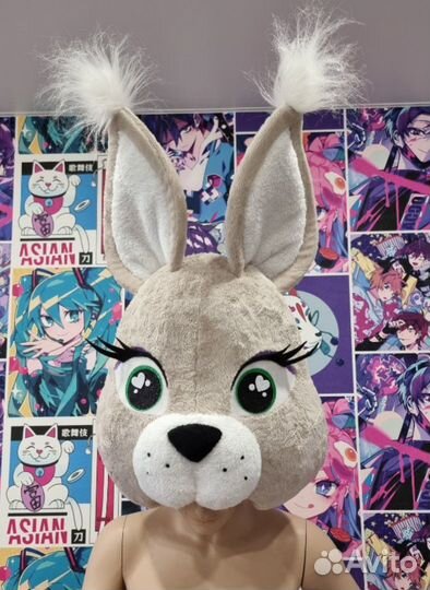 Полуростовая голова белки