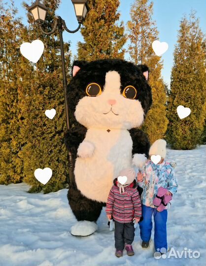 Поздравление с днем рождения. Кот сюрприз