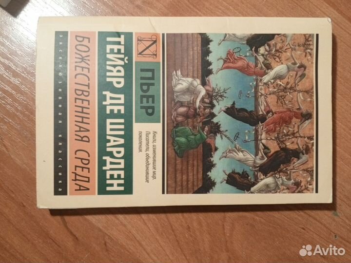 Божественная среда