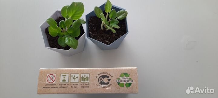 Настольная экологическая игра Ecologic новая