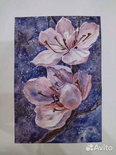 Акварельные картины