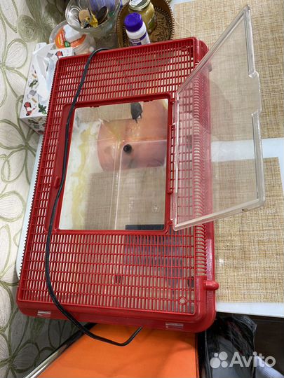 Террариум для рептилий с подогревом