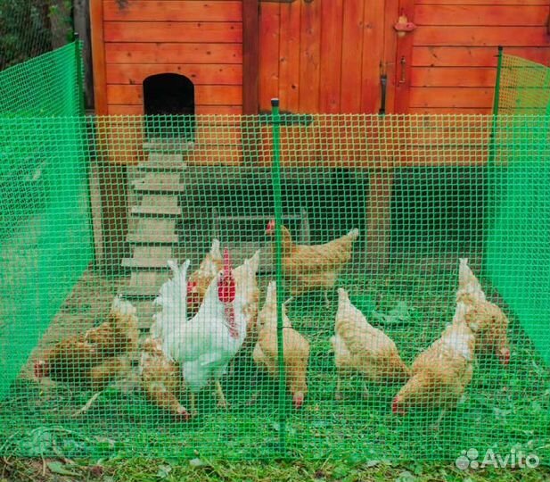 Сетка для Клеток и Загонов пластиковая 1*10М