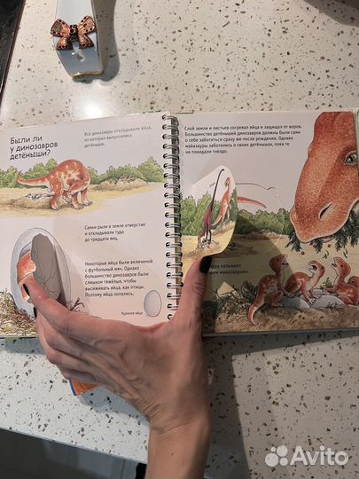 Книги с окошками динозавры и кошки